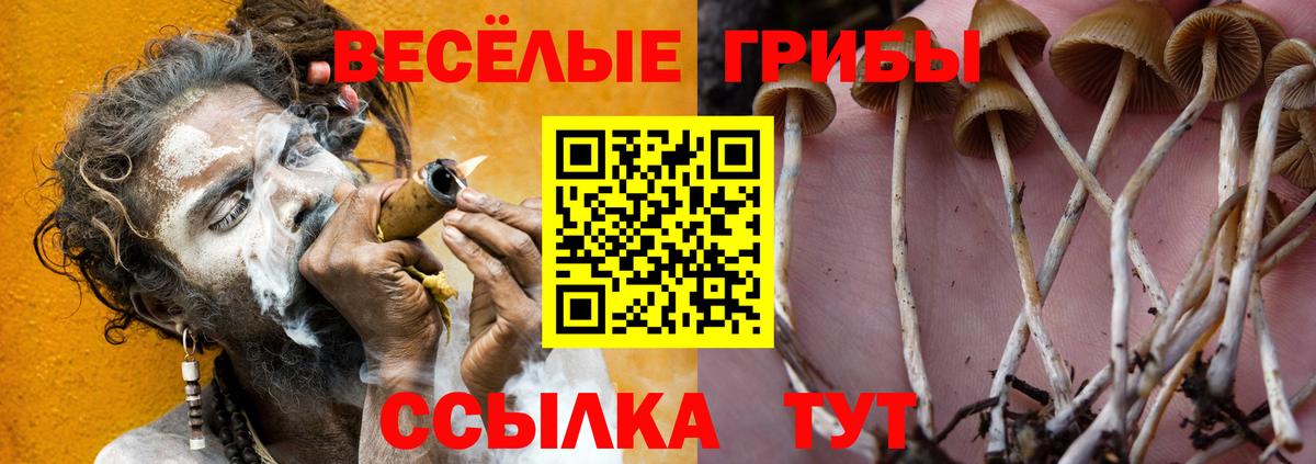 Галлюциногенные грибы MAGIC MUSHROOMS  Псилоцибиновые грибы Cubensis  Вход с VPN  Апрелевка 