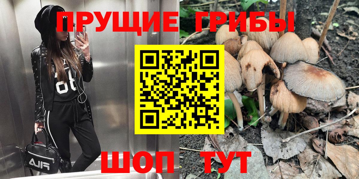 Галлюциногенные грибы Cubensis Апрелевка